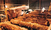 Lumber Application Notes